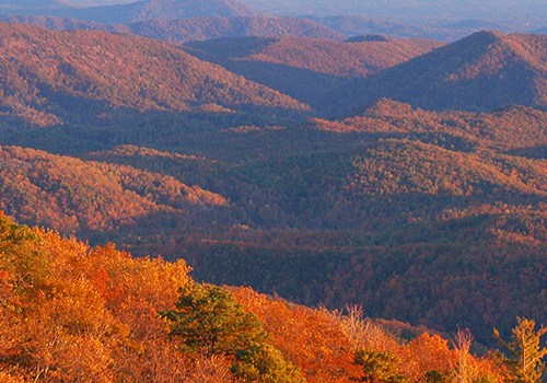 North Carolina mountains fall color